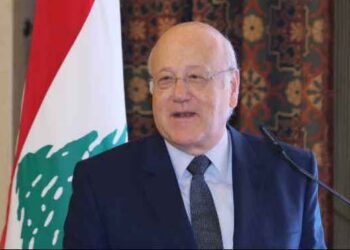 ԿԱՌԱՎԱՐՈՒԹԵԱՆ ԿԱԶՄՈՒԹԵԱՆ ԱՆԵԼ ՎԻՃԱԿ