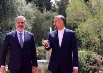 ՏԱՐԱԾԱՇՐՋԱՆԱՅԻՆ ԳԱԳԱԹԱԺՈՂՈՎԻ ՆԱԽԱՊԱՏՐԱՍՏՈՒԹՒԻՆ