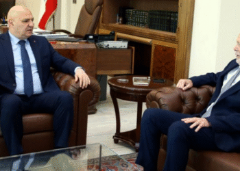   ՊԱՂԵՍՏԻՆԵԱՆ ԶԷՆՔԻՆ ՀԱՐՑՈՎ ՔՆՆԱՐԿՈՒՄ