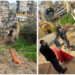 Կոյուղիի Հիմնախնդիրի Լուծում՝ Խալիլ Պատաուի Թաղամասին Մէջ